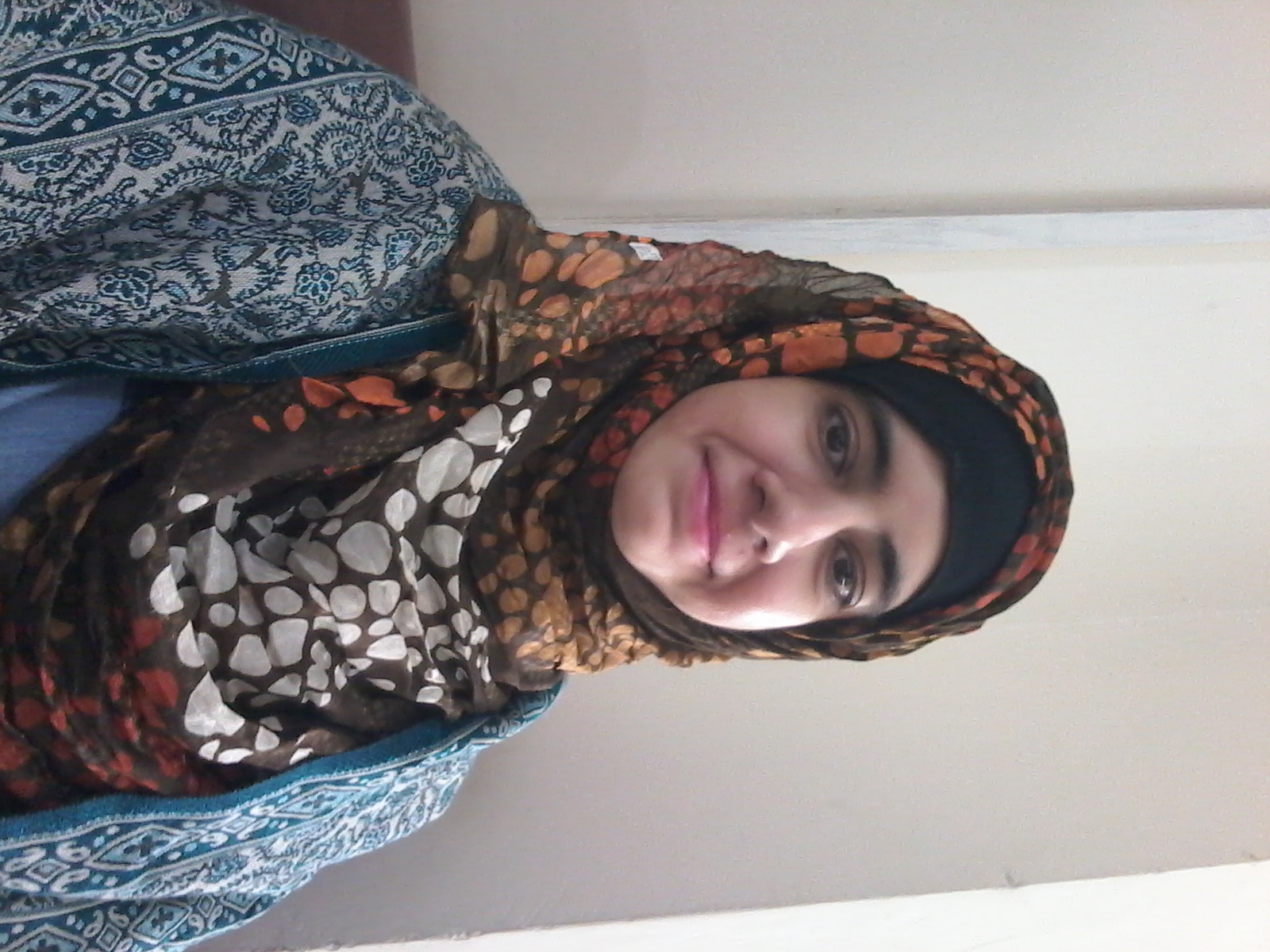 Ms Bushra Ansar